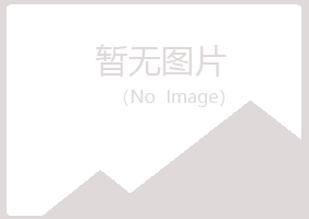 璧山县岑迷能源有限公司